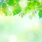 ご利用までの流れ